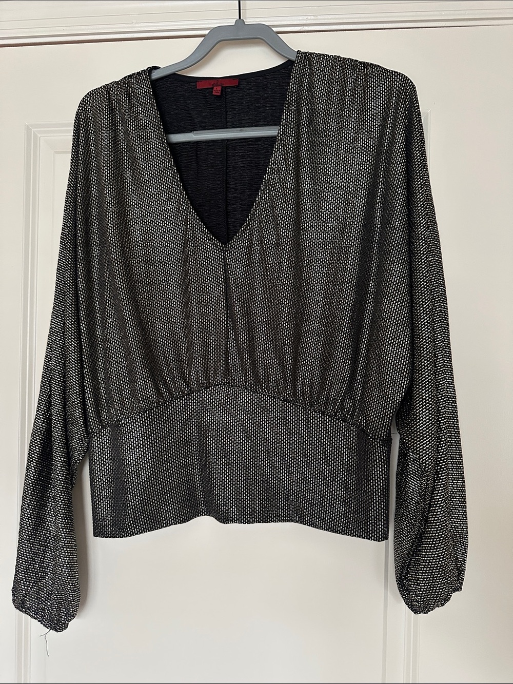 Sheer Black Dotted V-Neck Long Sleeve Top